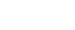 DS_logo